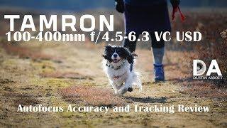 Tamron 100-400mm VC  Autofocus and Tracking Review  4K