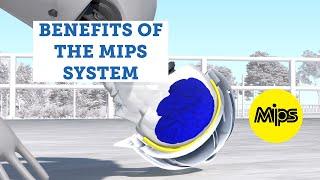 Benefits of the MIPS system