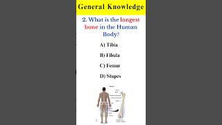 Human Body Gk  Gk Questions and Answers #shorts #viral #trending #gk #quiz #humanbody #gkquestion