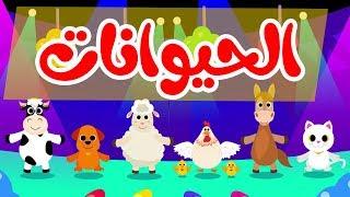 أنشودة الحيوانات   أناشيد وأغاني أطفال باللغة العربية