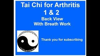 Tai Chi for Arthritis 1 and 2 back view with breath work TCA1 TCA2