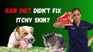 Why A Raw Food Diet Didnt Fix Your Pets Itchy Skin - Holistic Vet Advice