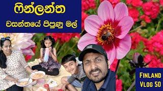 ෆින්ලන්තේ වසන්තයේ  පිපුණු මල්