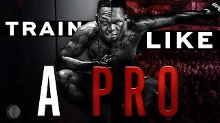 How to Structure your MMA Training like a PRO Even if youre a Beginner