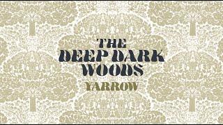 The Deep Dark Woods — San Juan Hill Official Audio