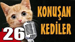 Konuşan Kediler 26 - En Komik Kedi Videoları
