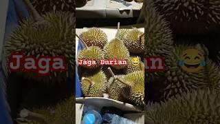 Tunggu Durian  #durianmontong