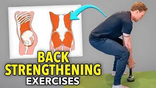 4 Low Back Lumbar Spine Strengthening Exercises