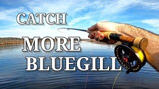 Fly Fishing Bluegill Couldnt be EASIER- Euro Nymphing Panfish
