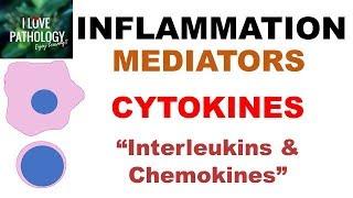 INFLAMMATION Part 6 Chemical Mediators  CYTOKINES Interleukins & Chemokines