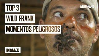 Wild Frank entre tarántulas y víboras  Wild Frank en Brasil