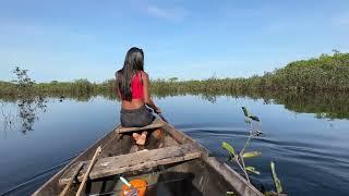 FIM DA MANHÃ NO MEIO DA NATUREZA NO INTERIOR DO AMAZONAS.