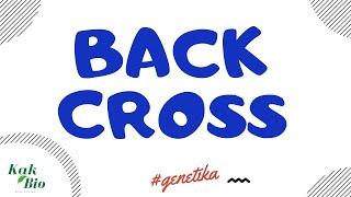 Persilangan Resiprok & Back Cross  GENETIKA