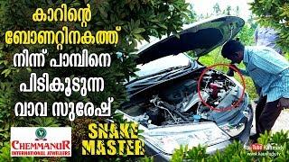 Vava Suresh catches a Snake from the bonnet of a parked car  Snakemaster  EP 390