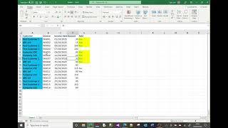 MS Excel tutorial on font and cell formatting colours border format painter etc