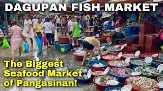 Dagupan Fish Market Tour 2024  Pangasinan’s Fresh Seafood and Amazing Prices  Philippines