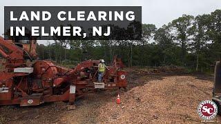 Stella Contracting Land Clearing Partner