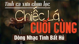 Dòng Nhạc Tình Ca Hải Ngoại Nghe Mà Sâu Lắng Tha Thiết  Nhạc Xưa Bất Hủ Đi Vào Lòng Người