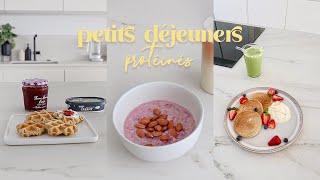 Petits Déjeuners Vegan & Protéinés  Comment utiliser les protéines en poudre  Alice Esmeralda