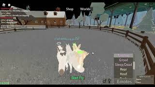 Slapping tails  Roblox horse world 