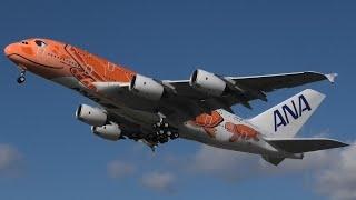 ANA Airbus A380 Orange Turtle Livery Take Off & Landing Hamburg Finkenwerder