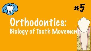 Orthodontics  Biology of Tooth Movement  INBDE ADAT