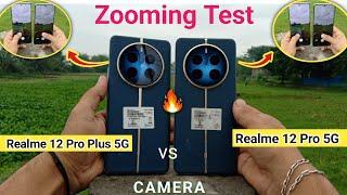 Camera Test  Realme 12 Pro Plus 5G vs Realme 12 Pro 5G  Camera Zooming