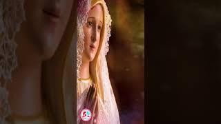 മാതാവിനോടുള്ള സംരക്ഷണ പ്രാർത്ഥന # July 5th 2023 #mother mary daily prayer malayalam