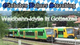   Waldbahn-Idylle in Gotteszell   # 014