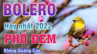 Vừa ngắm chim  vừa nghe những khúc nhạc hay - Bolero trữ tình 2022