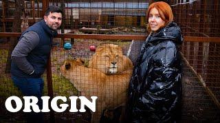 Living With Lions For 72 Hours  Stacey Dooley Sleeps Over