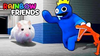 Hamster Adventures In Rainbow Friends Maze In Real Life OBSTACLE COURSE