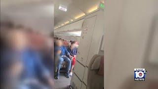 Passenger opens emergency exit door during flight