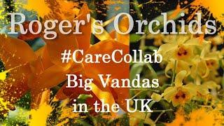 #CareCollab - Big Vandas in the UK