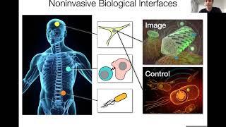 Biomolecular ultrasound with Dr. Mikhail Shapiro