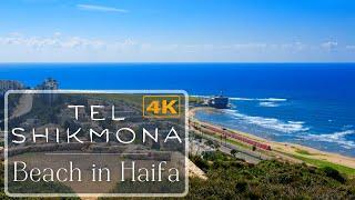 Walking in Tel Shikmona Beach in Haifa Israel 4K