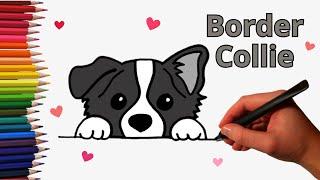 How to Draw a Cute Border Collie Dog EasyCute drawings