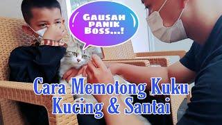 Cara memotong kuku kucing menggunakan gunting kuku dengan santai