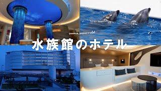 日本初！イルカと泳げるホテル6月開業【食べ放題レストランも】