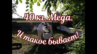 40 кг. МЕДА. 14.08.  ЧТО ДЕЛАТЬ ПЧЕЛАМ ?  В ПРИРОДЕ ПУСТО ГДЕ БЫЛО ГУСТО РАСПЛОД.  КЛЕЩИ.