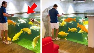 Amazing Indoor Koi Pond