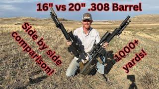 .308 barrel length compare- 16 vs 20