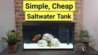 How To Set Up A Saltwater Tank For Beginners ...for £182