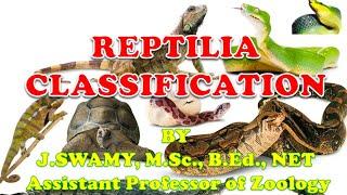 REPTILES CLASSIFICATION