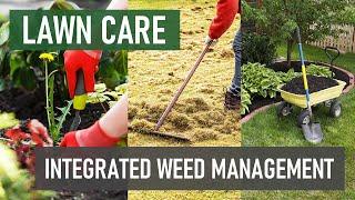 Integrated Weed Management Best Lawn Care Practices