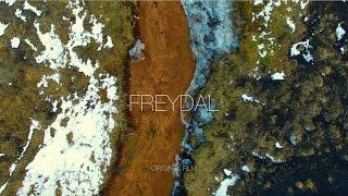 Freydal - Im Your Medicine Official Music Video