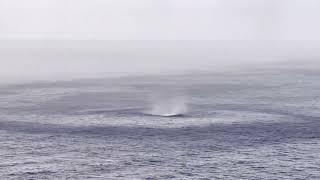 Waterspout Formation in Caribbean