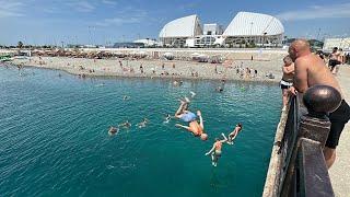 Сочи  Адлер  Чайка  Цены  Пляж ️Огонёк  Южное взморье