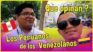 Peruanos opinan sobre los Venezolanos  que viven en Perú  