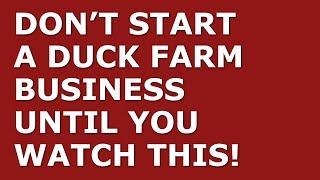 How to Start a Duck Farm Business  Free Duck Farm Business Plan Template Included
